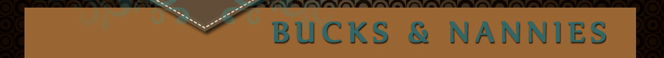 Bucks & Nannies